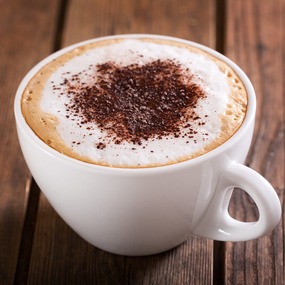 Motta Chocolate Shaker for Cappuccino | Stainless Steel