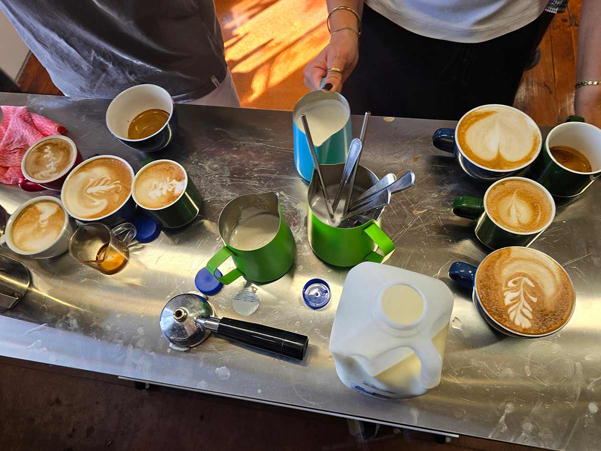 learning to use barista equipment while learning to make coffee