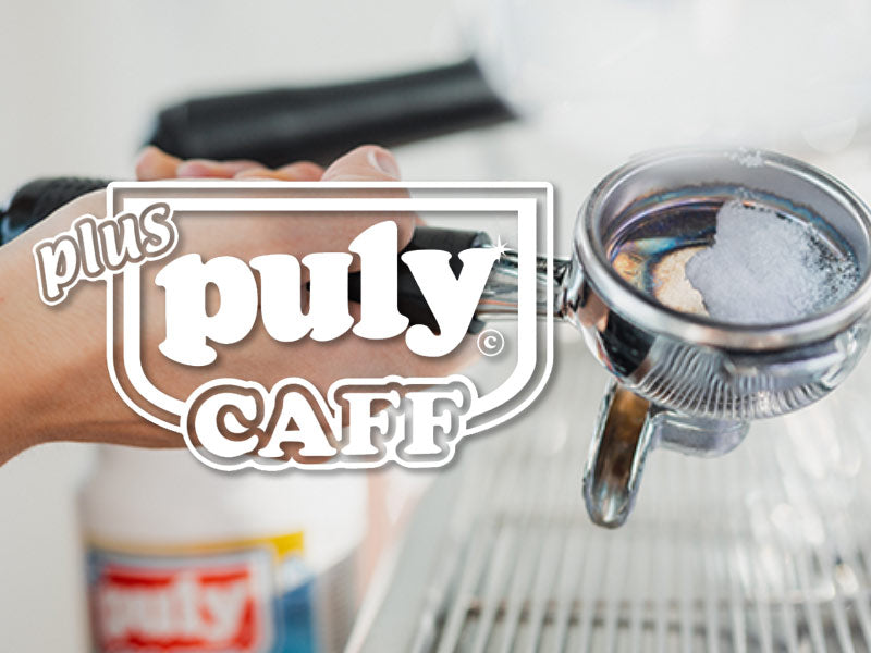 puly caff machine cleaning powder in blind basket for cleaning group heads on coffee machine